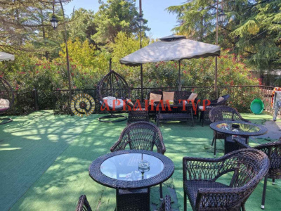 Тур в гостевой дом Old Pitius (Олд Питиус) в Пицунде на поезде