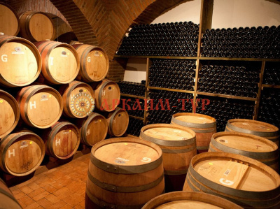 Авторский тур - Большое путешествие по  Мядельской земле (Вино, хлеб и Будслав) 