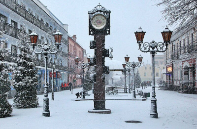 Новогодний тур в Брест и Беловежская пуща 2025