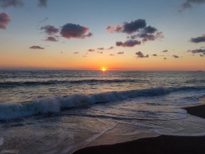 ЖД-туры в Абхазию 2025 (Новый Афон, Пицунда, Гагра, Гудаута)