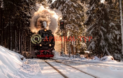 Поездом в Беловежскую Пущу к Деду Морозу 2025