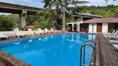 Тур в отель гостевой дом Гости Кавказа в п.Цандрипш на поезде