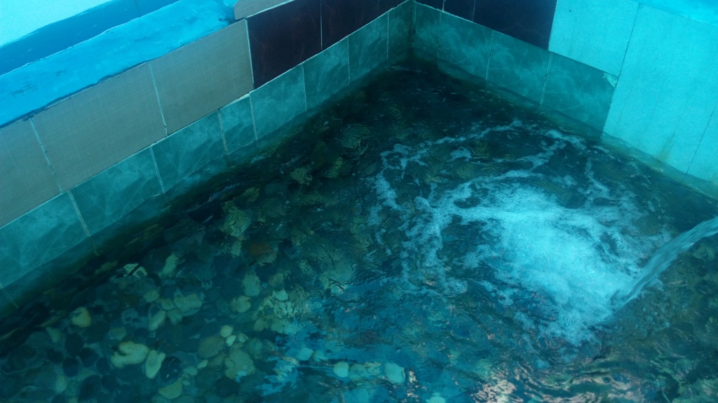 20181001_114742.jpg 20181001_114742.jpg