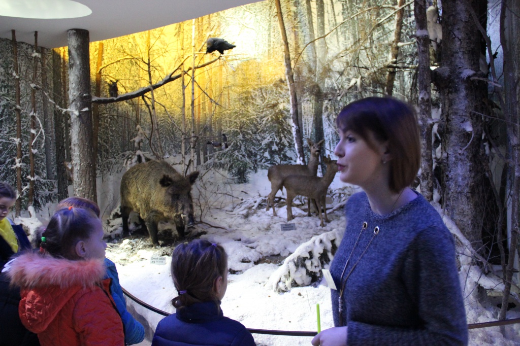 Беловежская пуща, Музей природы, экспозиция природа и история