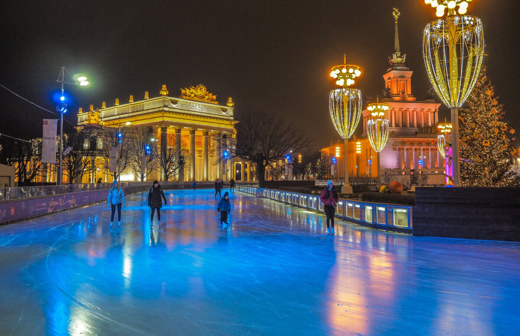 Д3 коток вднх 2.jpg