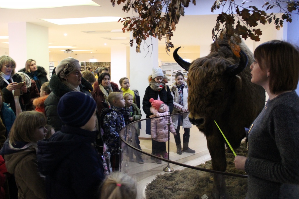 Беловежская пуща, Музей природы