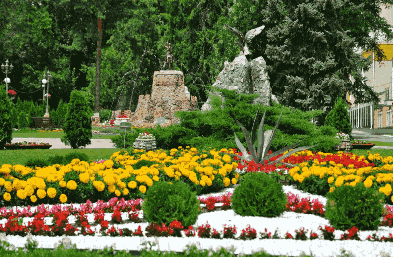 Санаторий имени Анджиевского, город Ессентуки -цветочная клумба.png