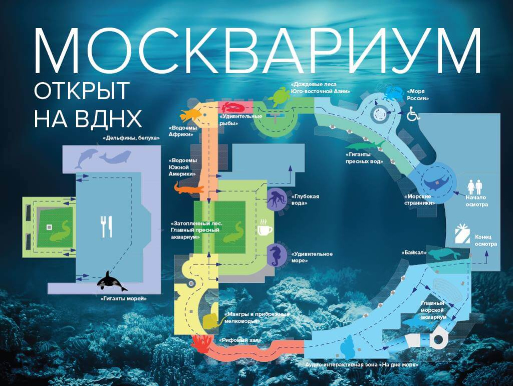 Д3 москвариум 8.jpg