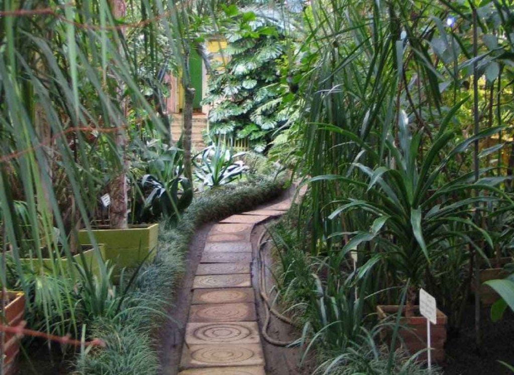 Ботанический сад, Кировск.jpg