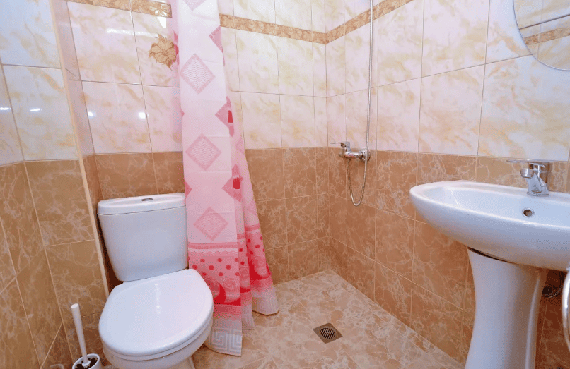 Гостевой дом Achilles Palace санузел.png