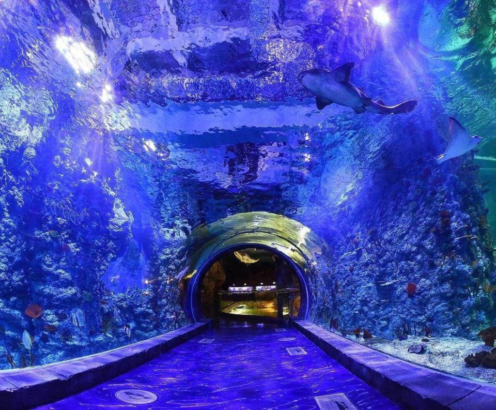 Д3 москвариум 10.jpeg