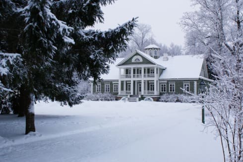 Пушкинские Горы, село Михайловское зима.jpg