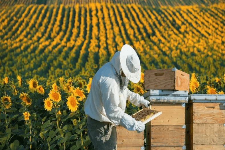 Пасека «Комплекс Рубеж – Юга России».png