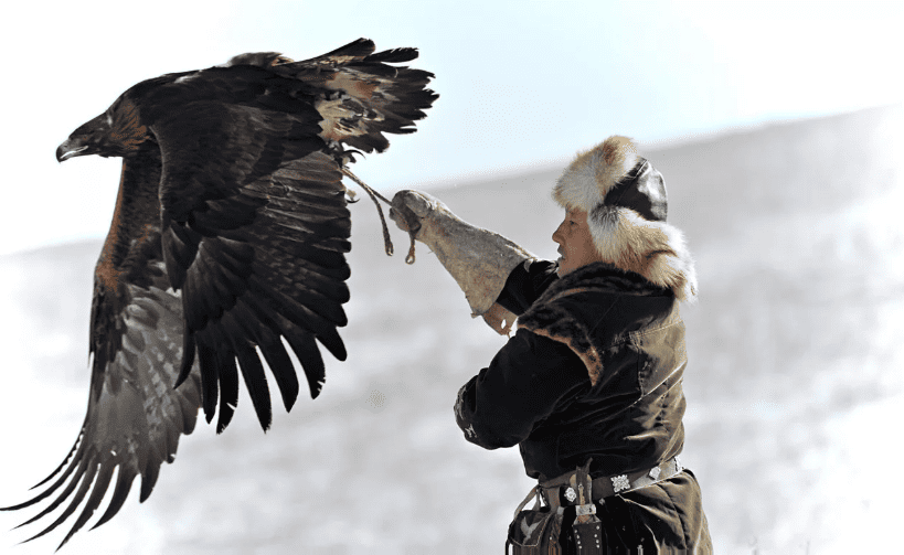 шоу Охота с беркутами и соколами”.png