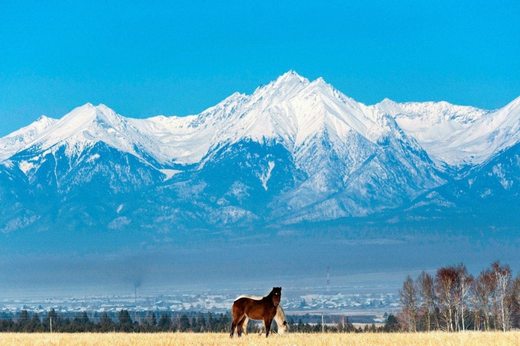 Тункинская долина лошади.jpg