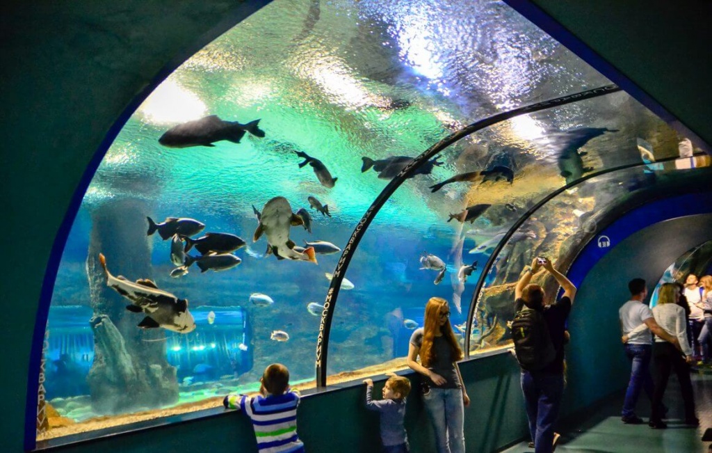 москвариум 3.jpg москвариум 3.jpg