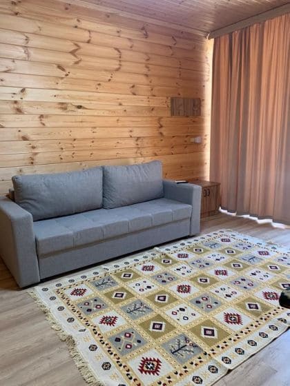 Коттеджи на берегу Каспийского моря, расклдаывающийся диван.jpg