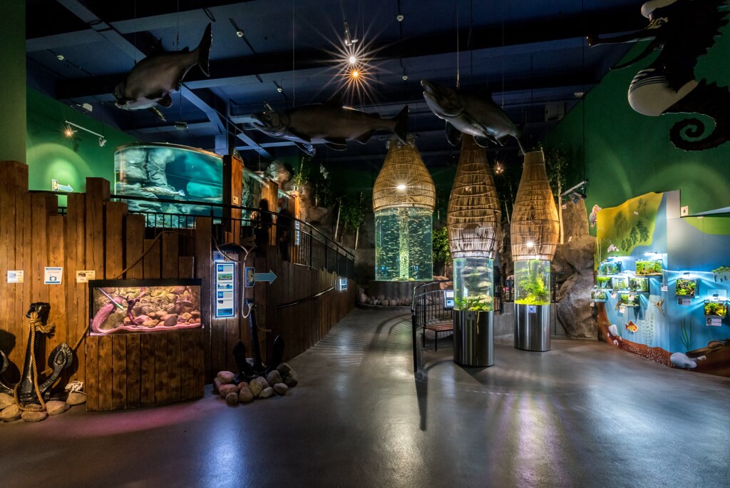 океанариум 1.jpg