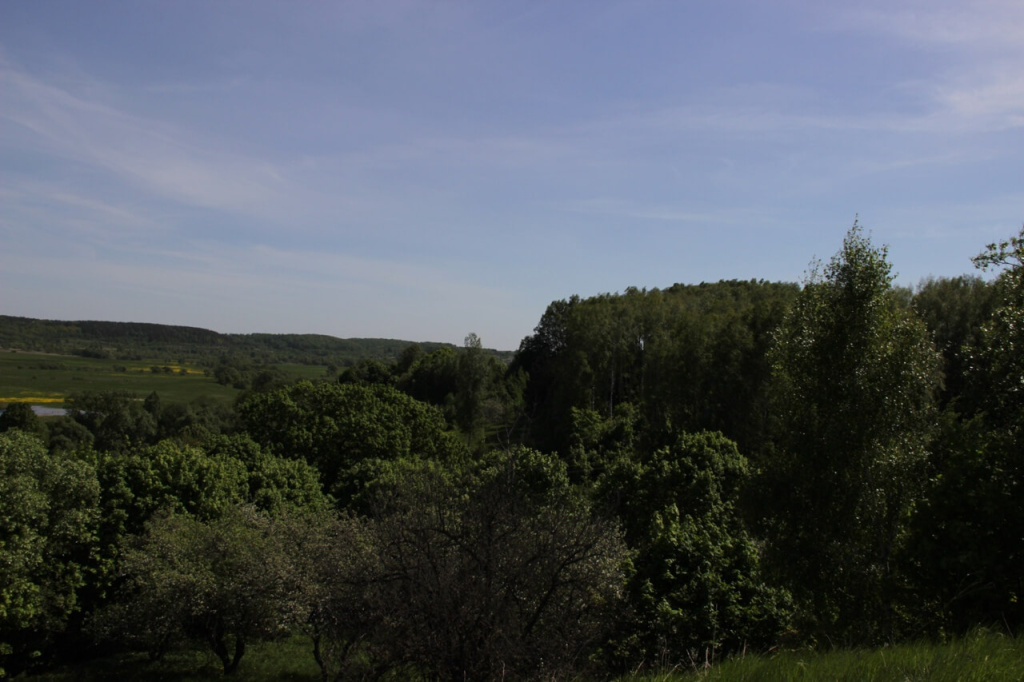 1.13 девья гора.jpg