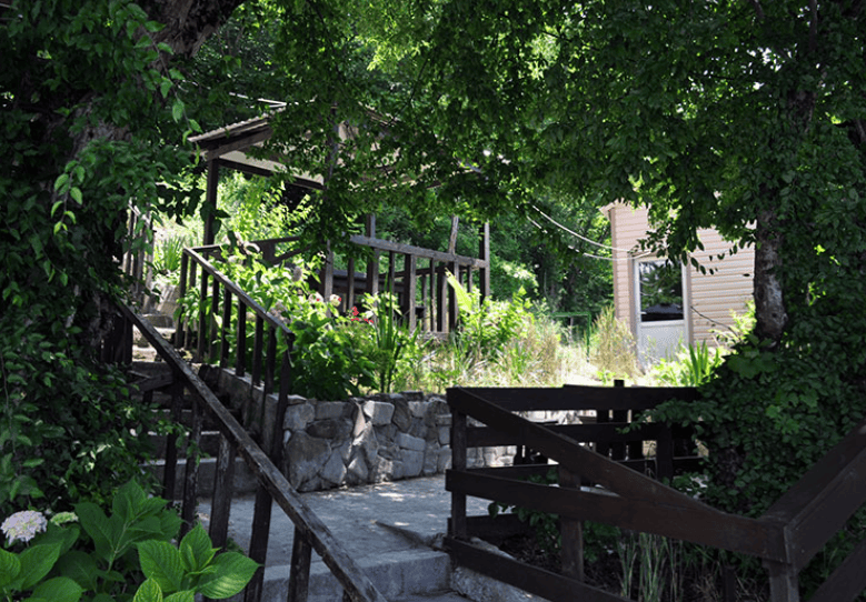 Гостевой дом Дубовая роща в Лермонтово зеленный дворик.png