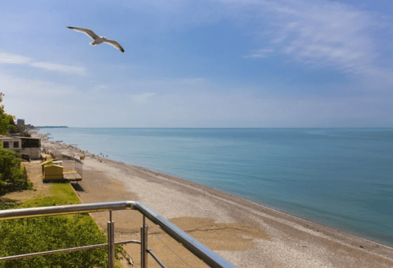 Отель Руслан в Гаграх, чайка в небе.png