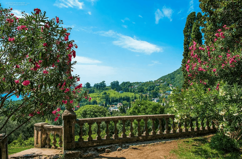 Абхазия картинка.png