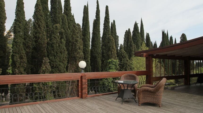 Отель Грифон, терраса.jpg