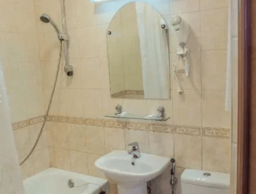 Гостиница Северная, Петрозаводск, вид санузла в номере с двуспальной кроватью.png