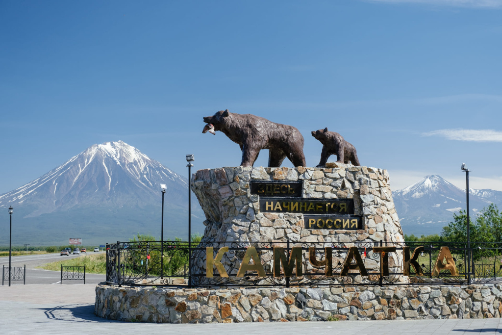 КАМЧАТКА , структура мдведей.jpg