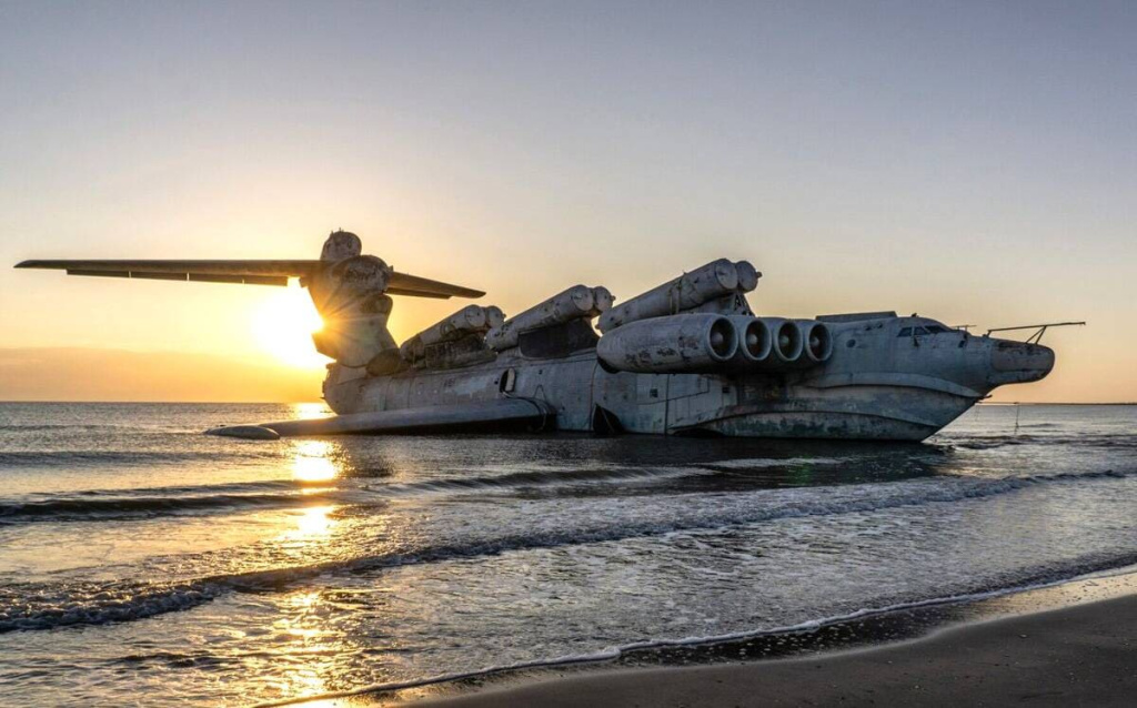 Лунь в воде, Дагестан.jpeg Лунь в воде, Дагестан.jpeg