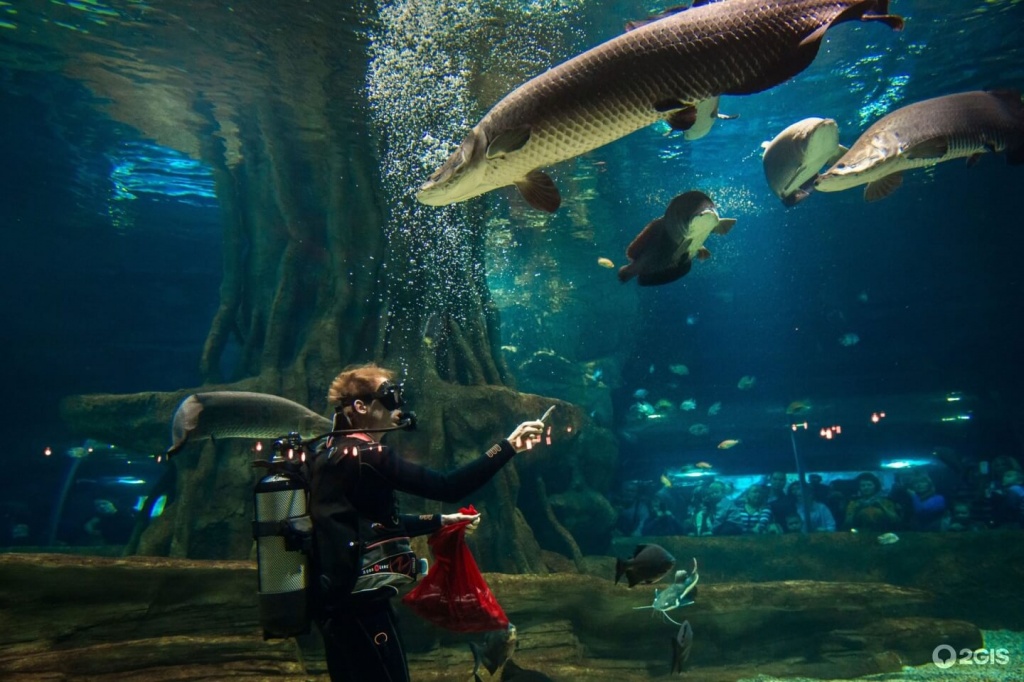 москвариум 2.jpg москвариум 2.jpg