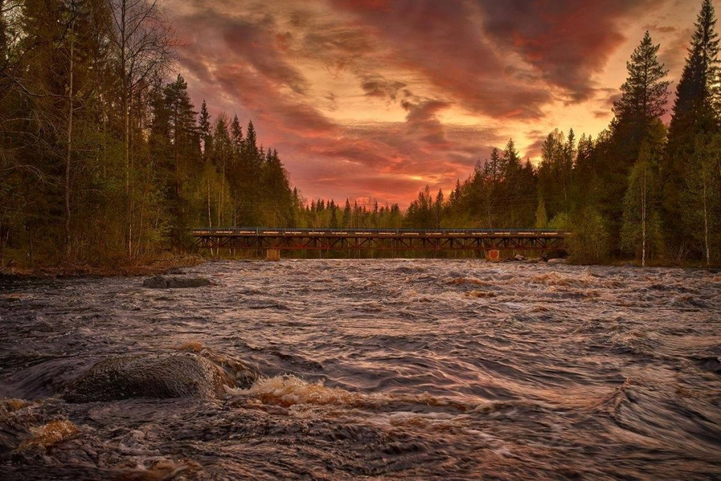 д.4 река шуя.jpg