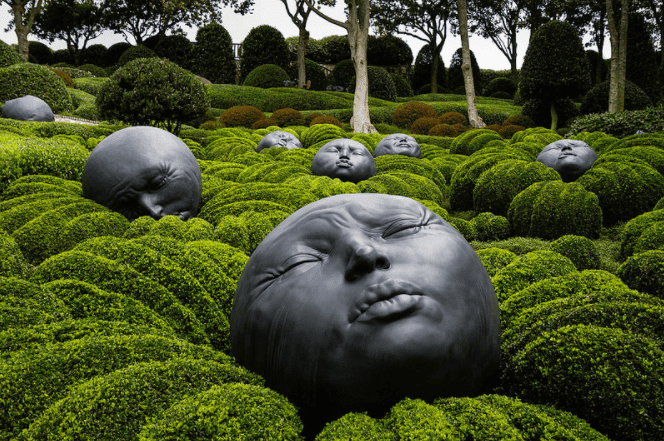 Сад эмоций.png Сад эмоций.png