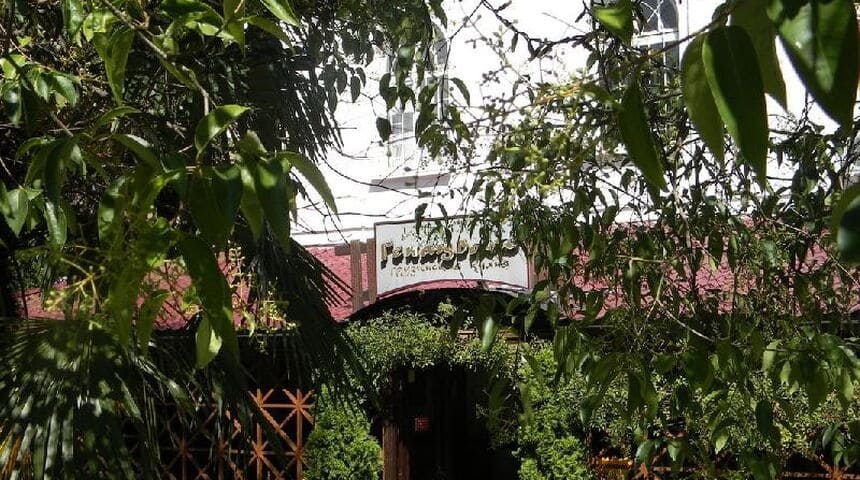 Гостиница Сокол в Сочи -вывеска.jpg