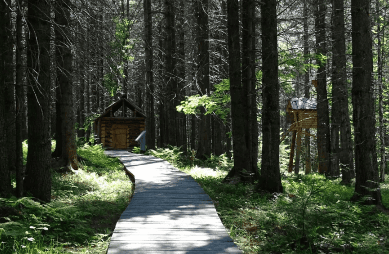 Экотропа Байкальского заповедника.png