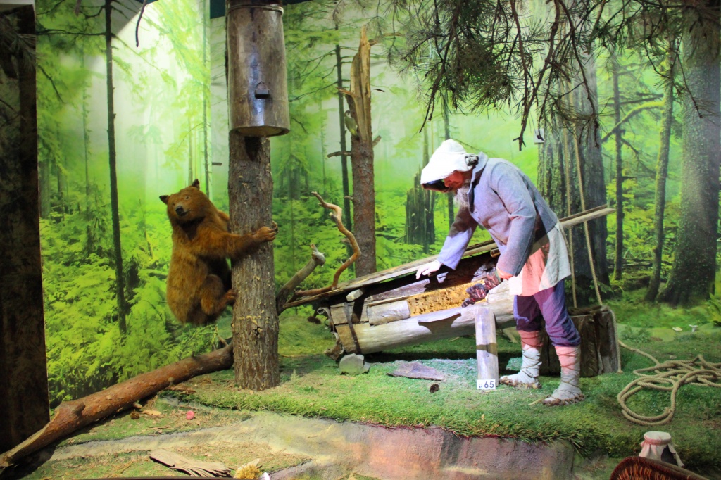 Беловежская пуща, музей природы, экспозиция бортничество