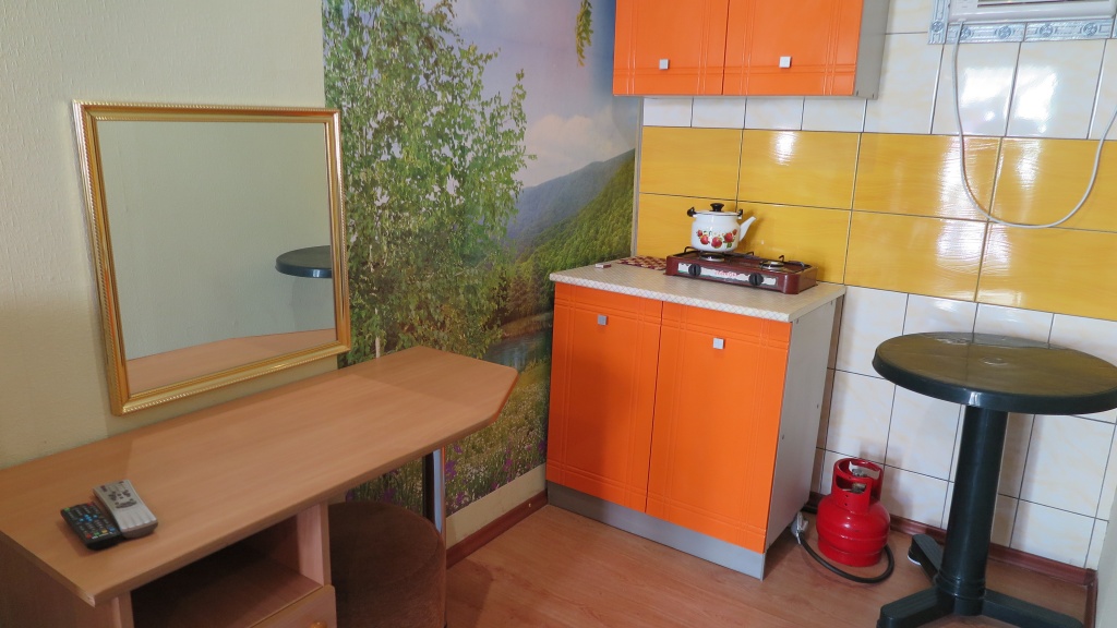 12 стандарт с мини кухней.JPG