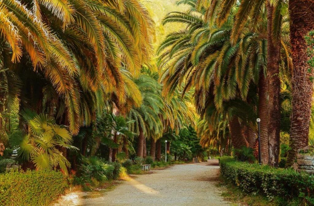 приморский парк.jpg приморский парк.jpg