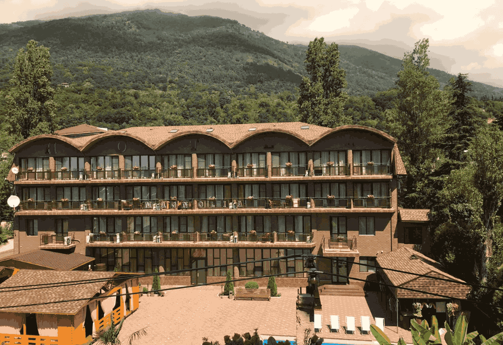 Гостиница Магнолия в Гаграх на поезде, вид на горы.png