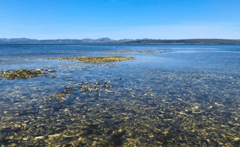 озеро Буссе.png