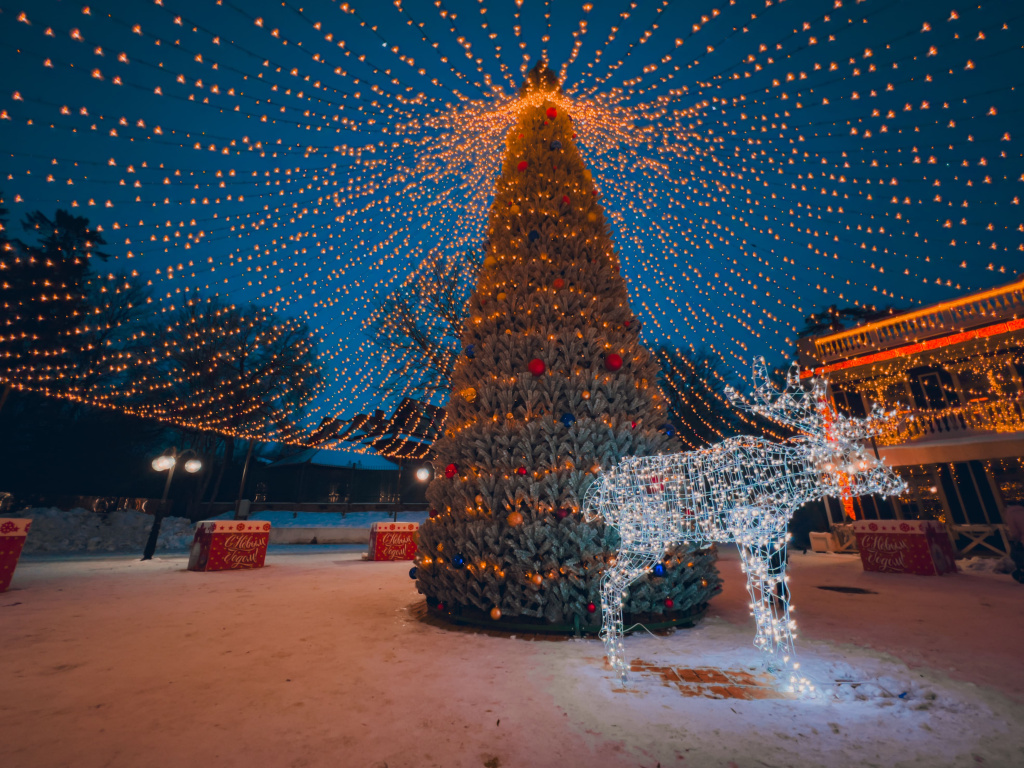 Янтарный Новый год.jpg