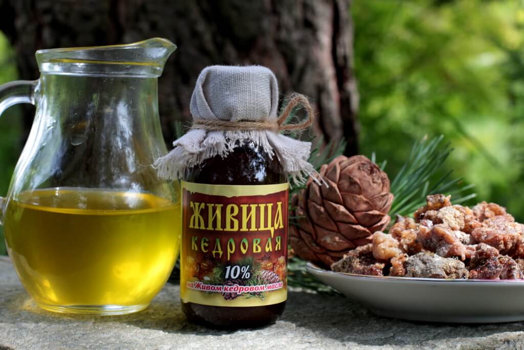 Кедровая живица.jpg