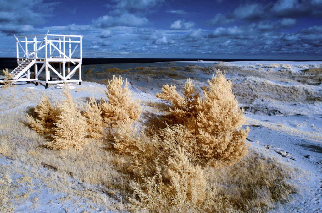 Высота Эфа новый год.jpg