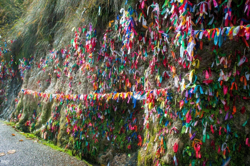 девичьи слезы.jpeg девичьи слезы.jpeg