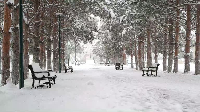 Кобрин парк зима , скамейки.jpg Кобрин парк зима , скамейки.jpg