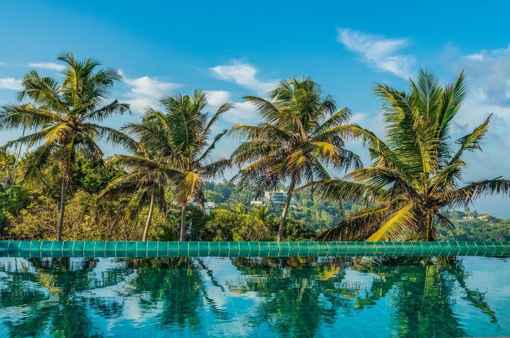 Agnus Unawatuna 4 (Унаватуна).jpg