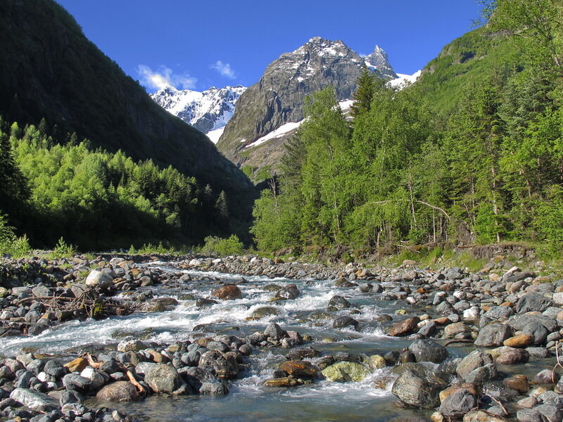 злая пасть.jpg