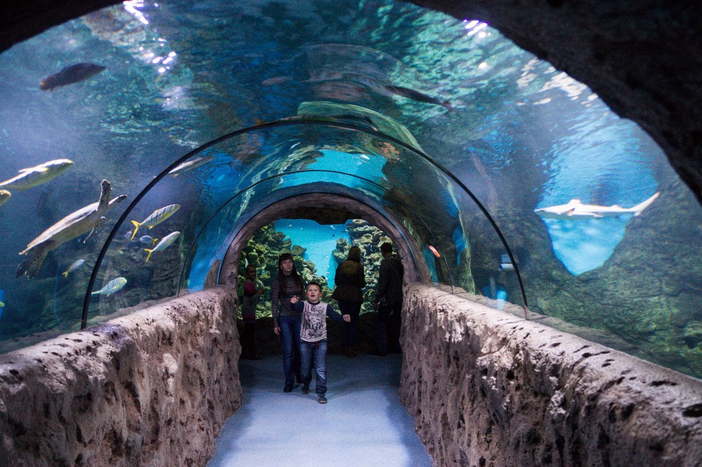 москвариум 2.jpg москвариум 2.jpg