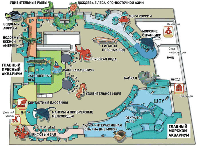 Д3 москвариум 9.jpg