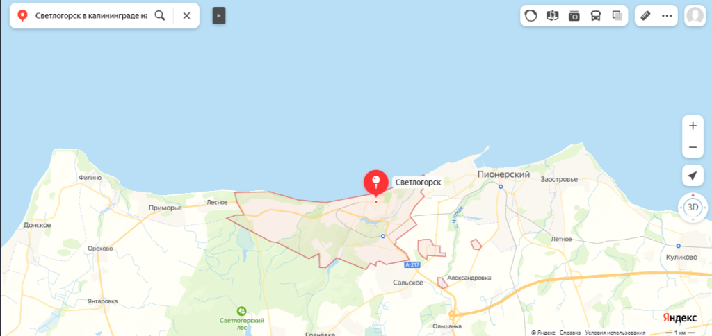 Светлогорск на карте.png